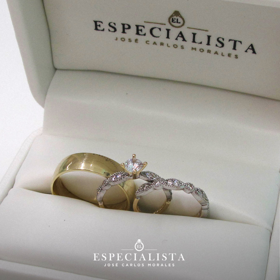 19A110-6LQ+23CHA599LQ+11ZA599LQ