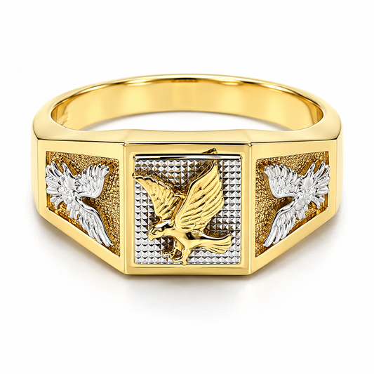 30JC47LQ Anillo de caballero en oro amarillo de 10 kilates