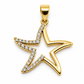 6510071LQ Dije en oro amarillo de 10 Kilates con forma de estrella marina.